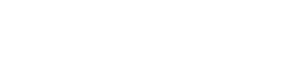 Synergy Consultants